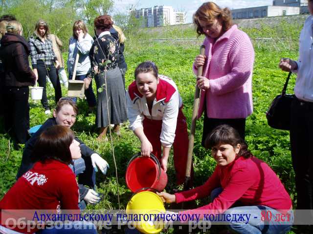 Архангельский педагогический колледж