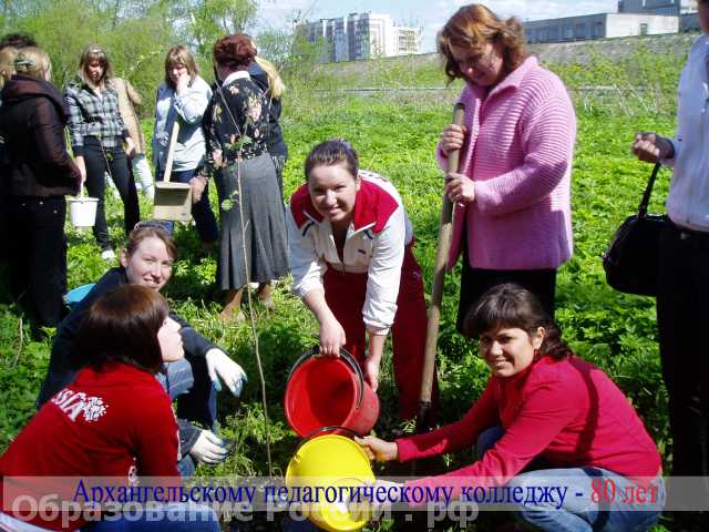  Архангельский педагогический колледж